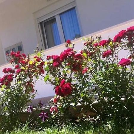 דרבניק Villa Markic מראה חיצוני תמונה
