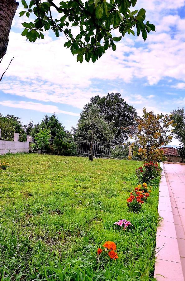 דרבניק Villa Markic מראה חיצוני תמונה