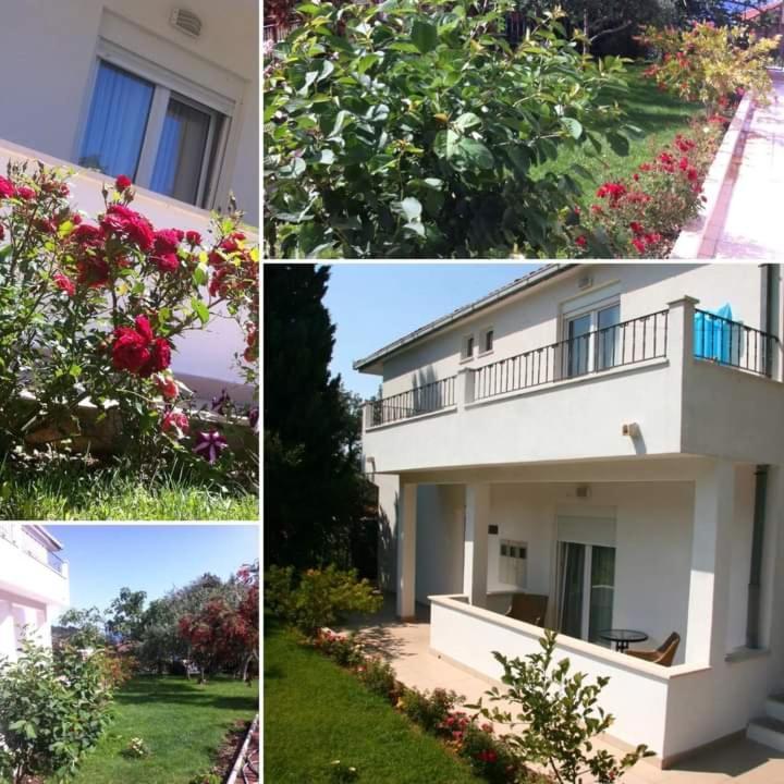 דרבניק Villa Markic מראה חיצוני תמונה