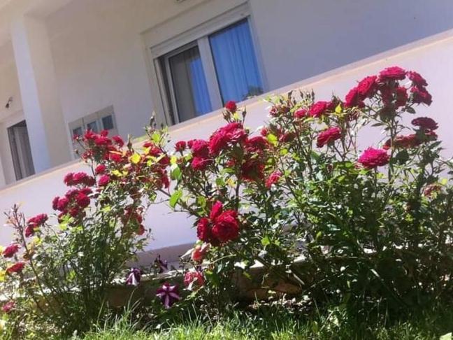 דרבניק Villa Markic מראה חיצוני תמונה
